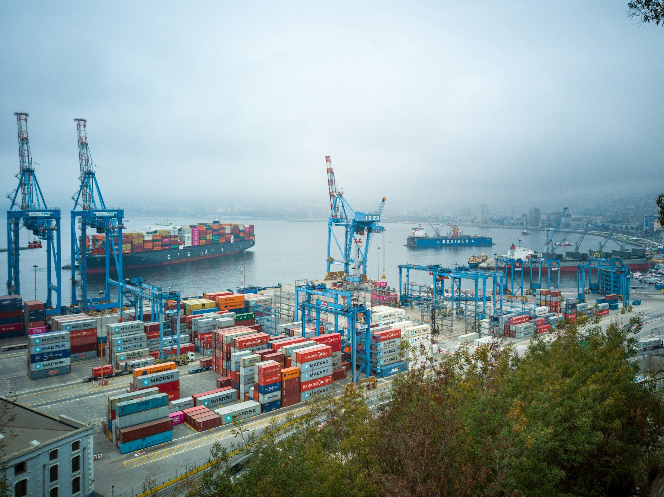 Container gantry cranes at a seaport
